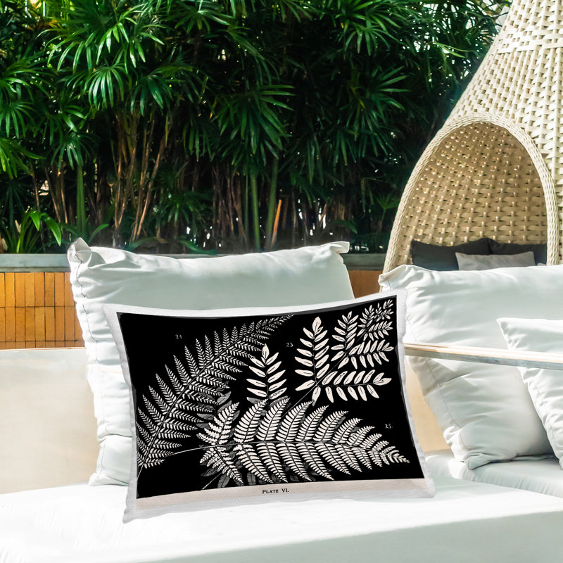 Conception de coussin décoratif d'extérieur Fern Variétés sur fond noir par Phillipa Katz, Fougère 1