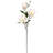 Magnolia Arrangement