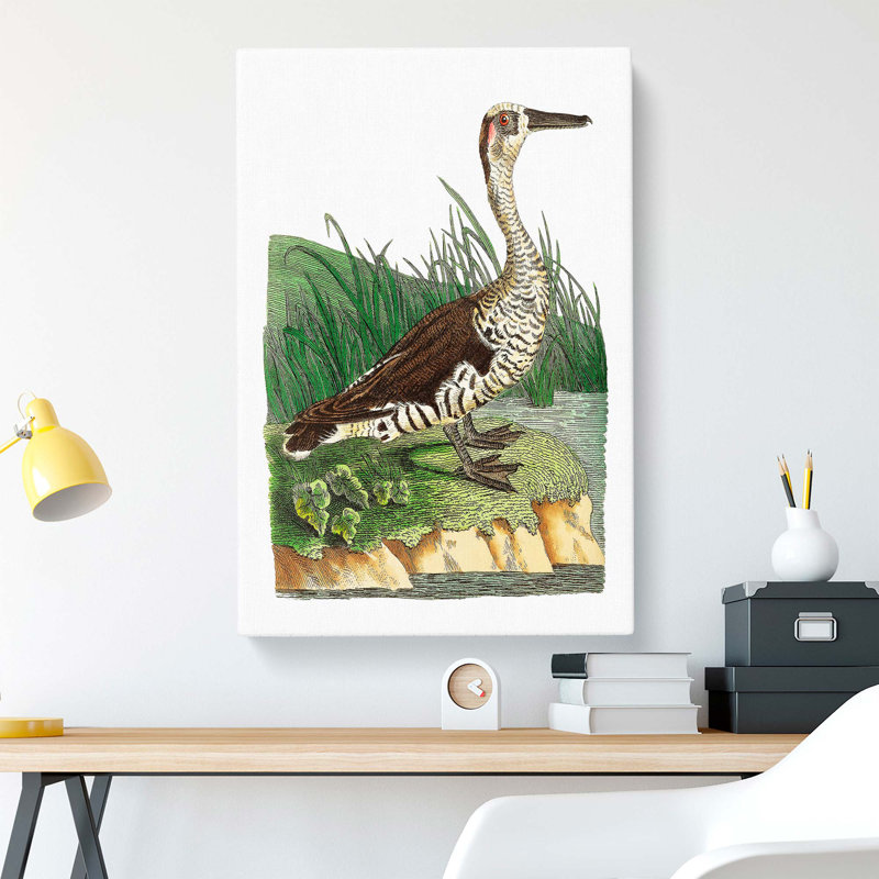 Fasciated Duck by George Shaw - Wrapped Canvas, 50cm H x 35cm W x 3cm D