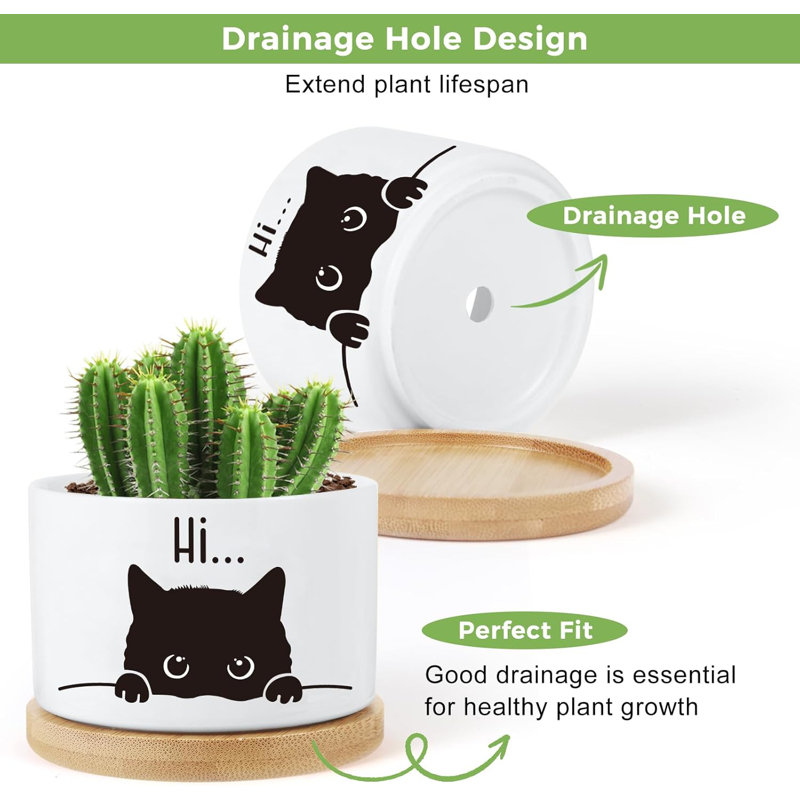 Ensemble de pots à fleurs en céramique 3 pièces avec drain et soucoupes