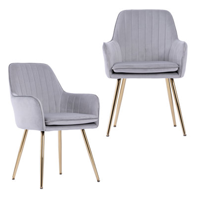 Velvet Dining Chair Set of 2