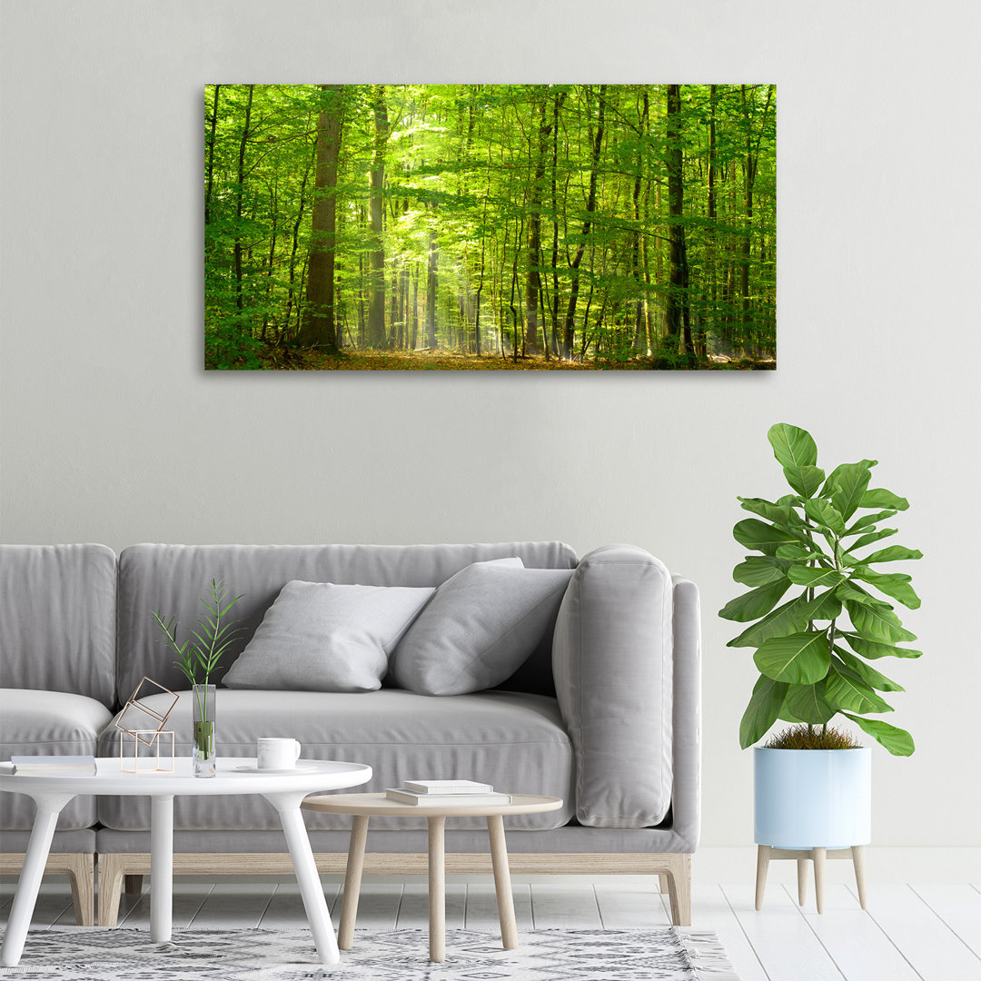 Laubwald - Kunstdrucke auf Leinwand - Wrapped Canvas