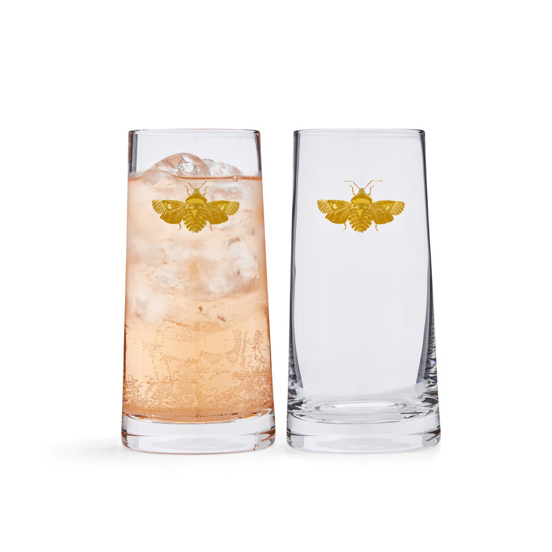Spode, Creatures of Curiosity - Tumblers, 426ml