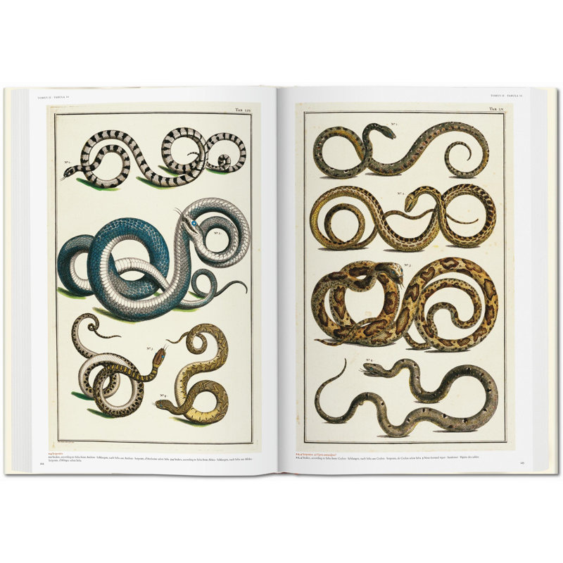 Seba Cabinet Of Natural Curiosities