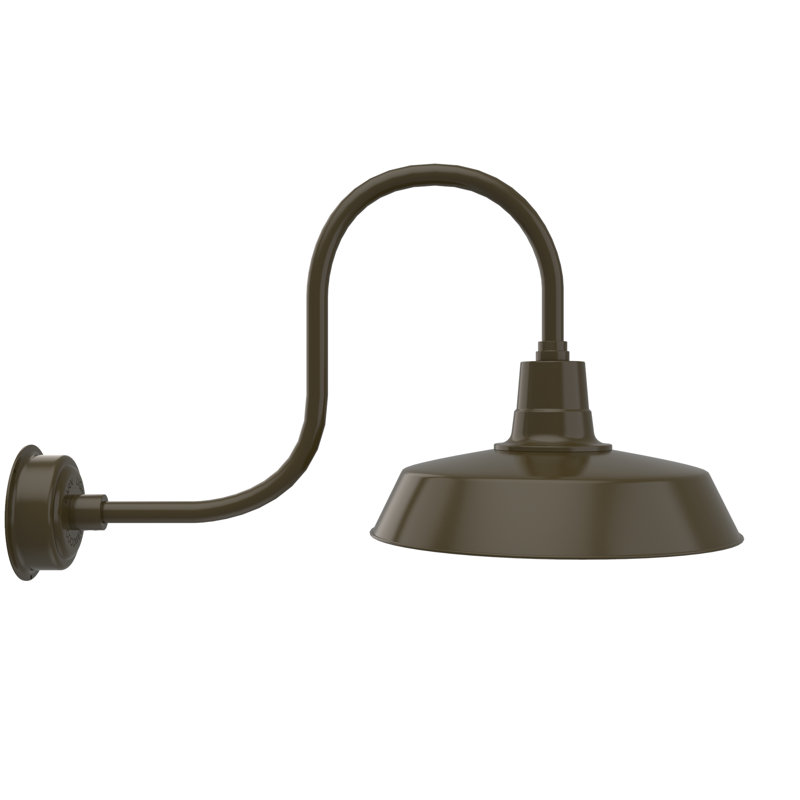 Luminaire de grange d'extérieur à DEL Haleigh, H 9 po x l 8 po x P 17 po, Bronze acajou