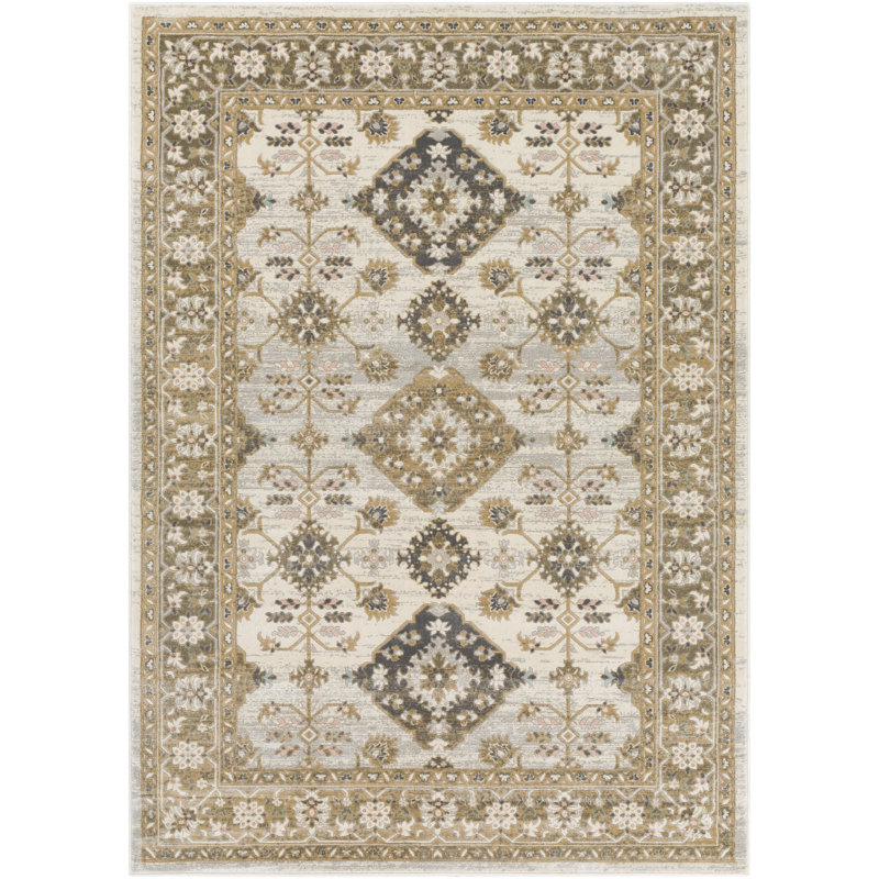 Aki Oriental Indoor Rug, Rectangle 9' x 12'