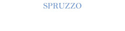 Spruzzo logo