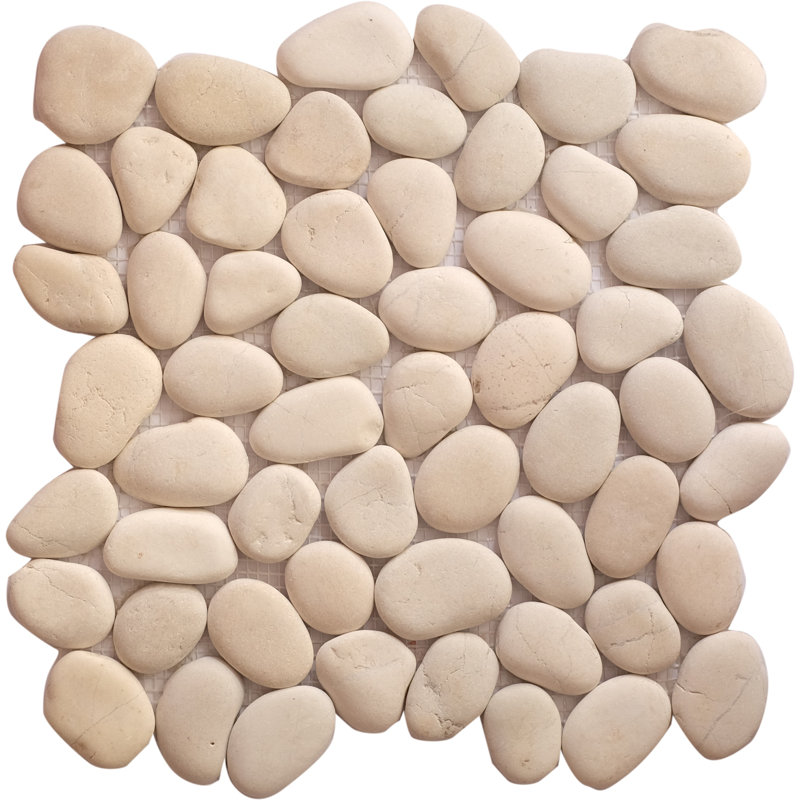 Timor White Leveled Random Sized Natural Sea Pebbles Mosaic Tile in White 12"x12" Floor and Wall