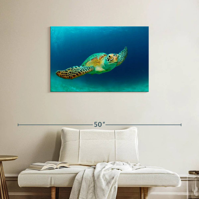 Brampt Philippine Green Sea Turtle, 24" H x 36" W