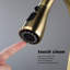 Robinet de cuisine rétractable en or brossé, élément en acier inoxydable, buse rotative à 360 °, matériau d'aspect anticorrosion et anti-rouille, corrosion anti-rouille pivotante, conception à poignée unique-313522441
