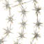 Guirlande lumineuse 840 DEL