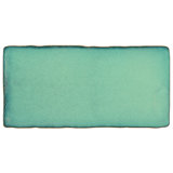 Antic Special 3" x 6" Ceramic Vintage Subway Tile