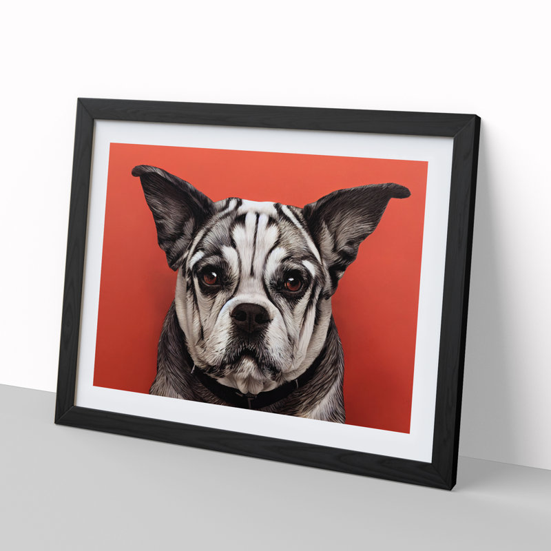 Dog Vol.5 - Single Picture Frame Print, Black, 34cm H x 46cm W x 2cm D