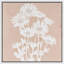 «White Daisy» sur fond de rosé blanc, impression sur toile encadrée-128138998-128138995