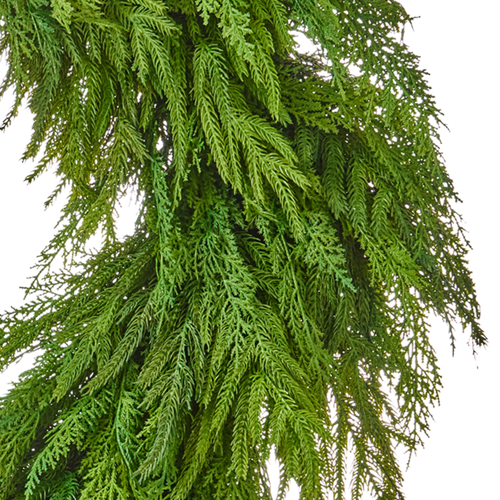 36" Real Touch Cedar Norfolk Pine Wreath