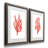 Coral Kelp I - Antique Nautical Study, Matted and Framed Under Acrylic Glass, Set of 2, Coastal Wall Art for Living Room