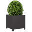 Planter Box-104931244-108202636