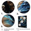 Sapphire Seahorse Delicate Drips II - animaux, impressions sur toile-91269890-91269895