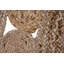 Round Gunesh Hand Woven Area Rug-2050130889