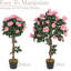 Rubens 91.4cm Tree in Pot