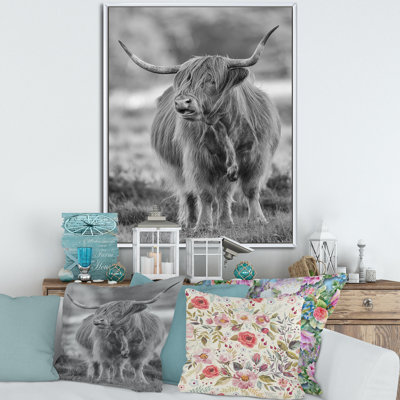 Gros plan sur un taureau - photographie sur toile