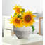 Vase en céramique rustique avec 2 poignées-374973257