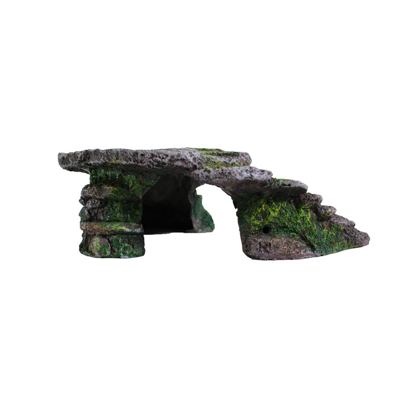 Petit rebord Reptology