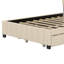Upholstered Platform Bed With 2 Drawers And Trundle-115709512