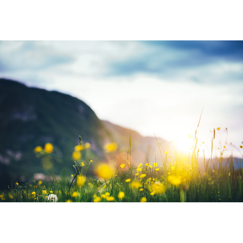 Alpine Meadow by Borchee, 32" H x 48" W