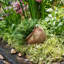 Pot à fleurs Kameera-1273337953