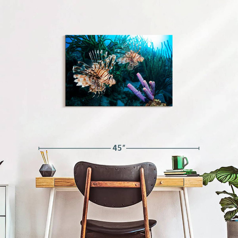 Poisson-lion de l'océan Atlantique Brampt, H 20 po x l 30 po