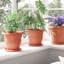 Round Flower Pot 6 Pcs Plastic-465710650-465710654