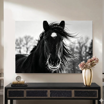 Impression sur toile encadrée de 1 pièce, cheval noir avec de la neige sur la face, crinière de vent, style de photographie monochrome. Décoration murale, parfait pour la décoration de salon, chambre, bureau, cuisine, salle de bain, décoration murale idéale