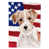Jack Russell terrier à poil rugueux sélectionné
