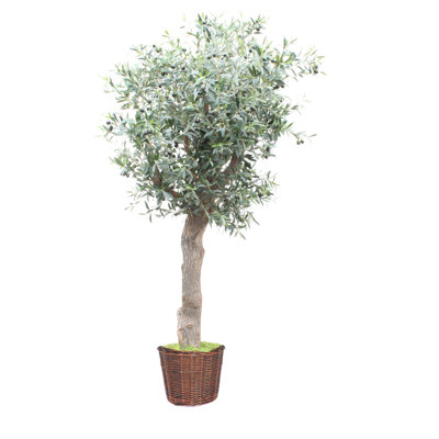 Faux Olive Tree in Rattan Basket