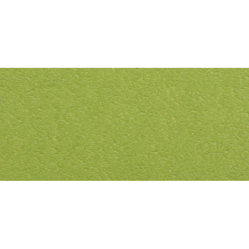 POLYWOOD South Beach Outdoor Adirondack Chair, Green