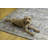 Ducote Washable Gray and Beige Machine Woven area rug-563725847