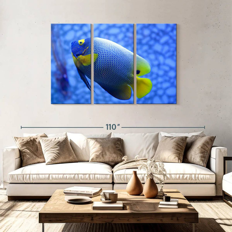 Angelfish bleu corail Brampt, H 48 po x l 74 po