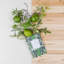 Spice Oils & Scents