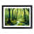 Black Framed selected