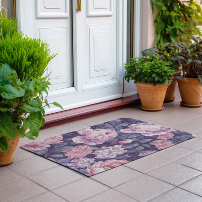Machine Washable Indoor/Outdoor Claudian ACN1564 Pink Rug