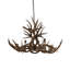 Rustic Lodge 10 - Light Chandelier