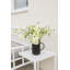 over&back Coupe Stoneware Pitcher-101308996