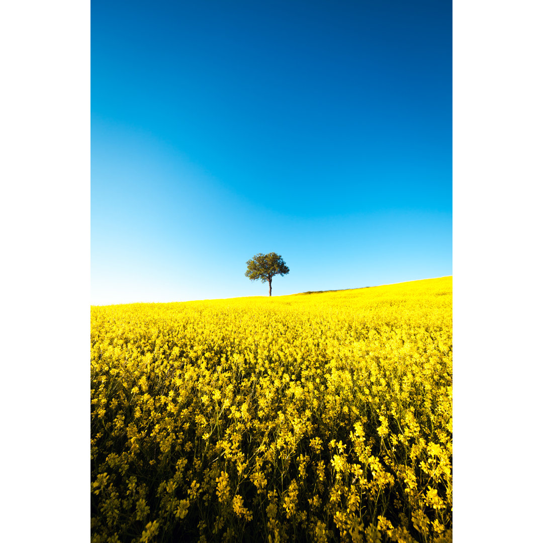 Baum im gelben Feld von Borchee - Leinwandbild