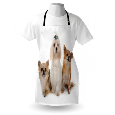 Bib Apron