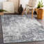 Parisa Area Rug-1718691117