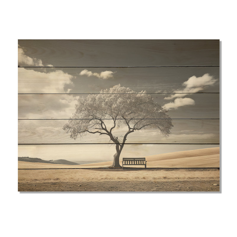 Solitude banc sous un arbre monochrome - panneau de bois pré sur bois de pin naturel, H 24 po x l 32 po