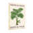 Grain de bois clair n'est pas disponible