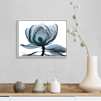 " Midnight Magnolia I " by Albert Koetsier