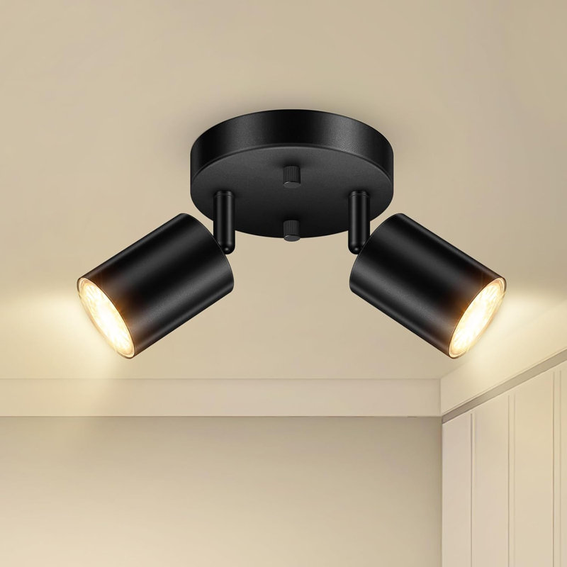 2 Light Track Lighting Kit